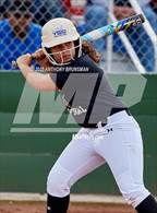 Photo from the gallery "Del Campo @ Cordova"