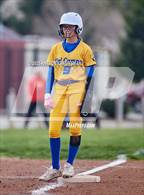 Photo from the gallery "Del Campo @ Cordova"