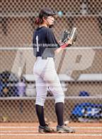 Photo from the gallery "Del Campo @ Cordova"