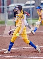 Photo from the gallery "Del Campo @ Cordova"