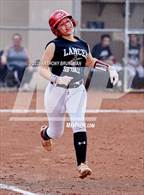 Photo from the gallery "Del Campo @ Cordova"