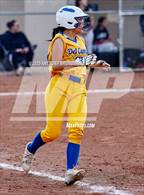 Photo from the gallery "Del Campo @ Cordova"