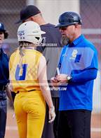 Photo from the gallery "Del Campo @ Cordova"