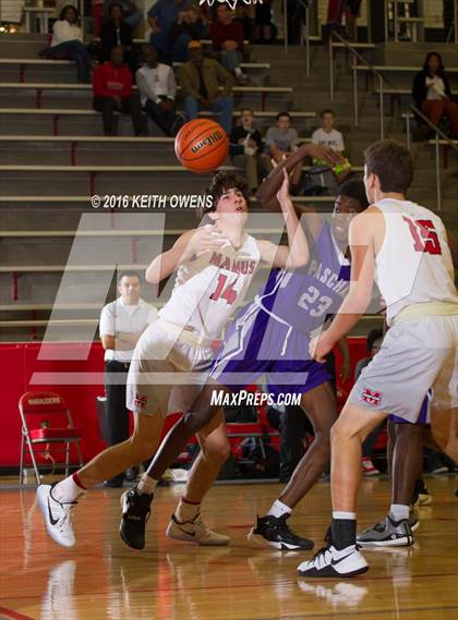 Thumbnail 1 in Paschal @ Marcus photogallery.