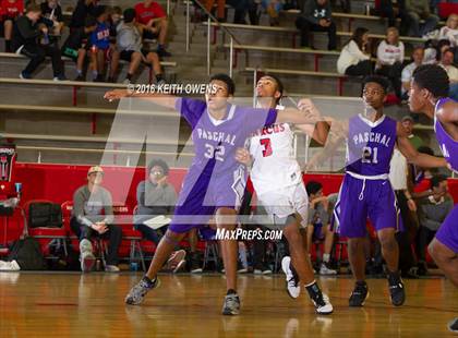 Thumbnail 2 in Paschal @ Marcus photogallery.
