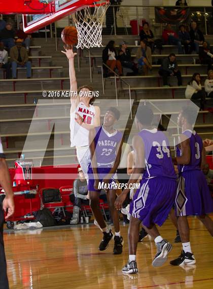 Thumbnail 1 in Paschal @ Marcus photogallery.