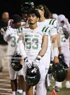 Photo from the gallery "Monterey Trail @ Cosumnes Oaks"