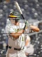 Photo from the gallery "Peoria @ Cactus"