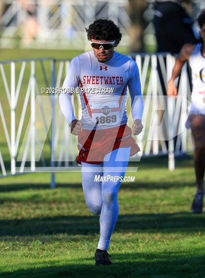 Thumbnail 3 in UIL 3A Boys Cross Country State Final photogallery.