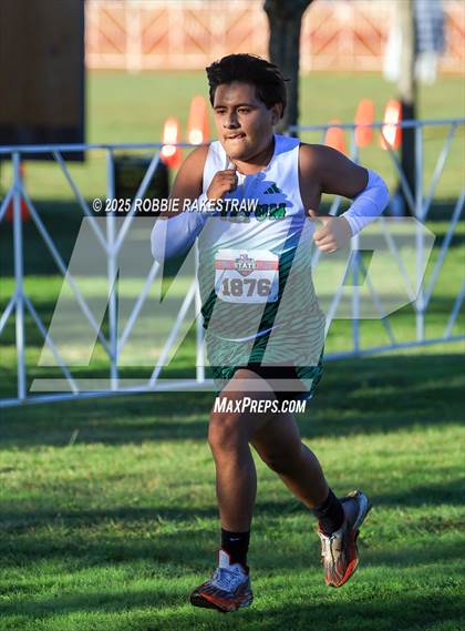 Thumbnail 1 in UIL 3A Boys Cross Country State Final photogallery.