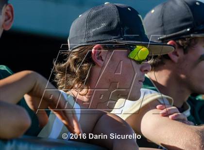 Thumbnail 1 in Perry @ Basha photogallery.