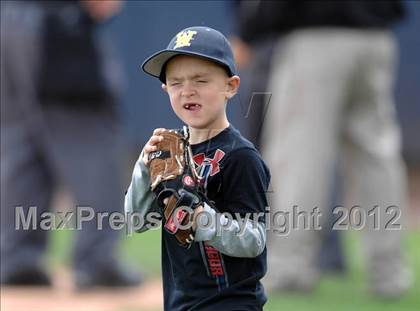 Thumbnail 2 in Weston vs. Plainville (CIAC Class M Semifinal) photogallery.