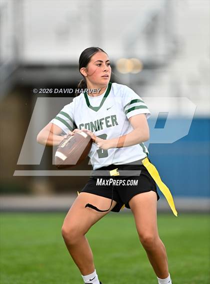 Thumbnail 3 in Conifer vs Standley Lake photogallery.