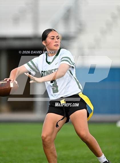 Thumbnail 1 in Conifer vs Standley Lake photogallery.