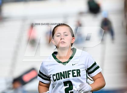 Thumbnail 1 in Conifer vs Standley Lake photogallery.