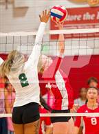 Photo from the gallery "Monterey Trail @ McClatchy"