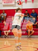 Photo from the gallery "Monterey Trail @ McClatchy"