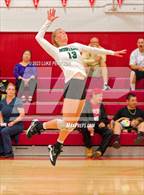 Photo from the gallery "Monterey Trail @ McClatchy"