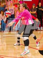 Photo from the gallery "Monterey Trail @ McClatchy"