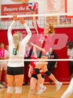 Photo from the gallery "Monterey Trail @ McClatchy"