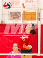 Photo from the gallery "Monterey Trail @ McClatchy"