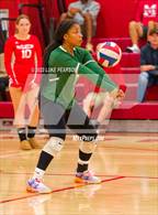Photo from the gallery "Monterey Trail @ McClatchy"