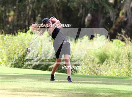 Thumbnail 3 in Hernando @ Springstead photogallery.