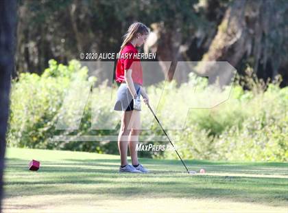 Thumbnail 2 in Hernando @ Springstead photogallery.
