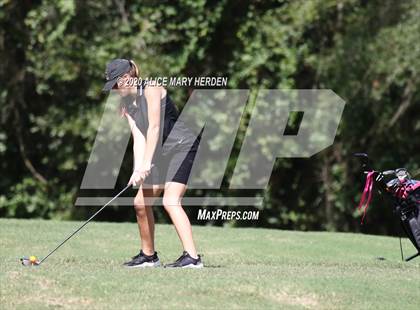 Thumbnail 3 in Hernando @ Springstead photogallery.