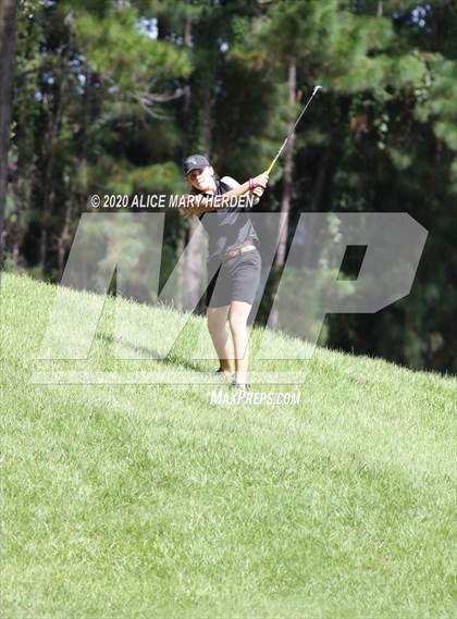 Thumbnail 2 in Hernando @ Springstead photogallery.