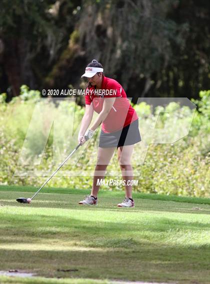 Thumbnail 2 in Hernando @ Springstead photogallery.