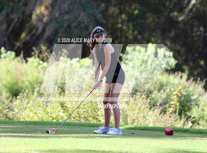 Thumbnail 2 in Hernando @ Springstead photogallery.