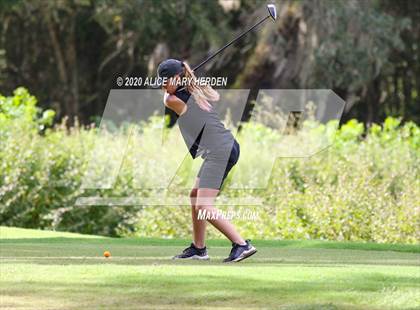 Thumbnail 3 in Hernando @ Springstead photogallery.