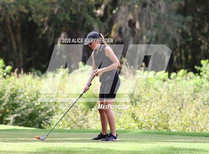 Thumbnail 1 in Hernando @ Springstead photogallery.