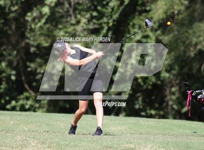 Thumbnail 2 in Hernando @ Springstead photogallery.