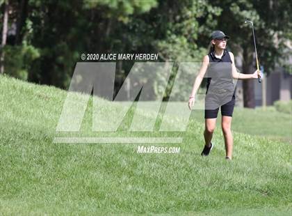 Thumbnail 1 in Hernando @ Springstead photogallery.