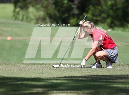 Thumbnail 2 in Hernando @ Springstead photogallery.