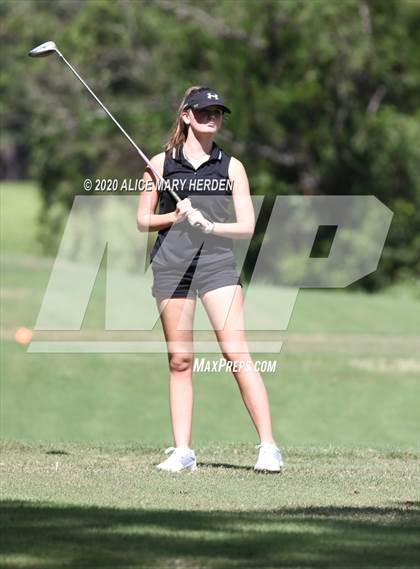 Thumbnail 2 in Hernando @ Springstead photogallery.