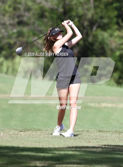 Thumbnail 1 in Hernando @ Springstead photogallery.
