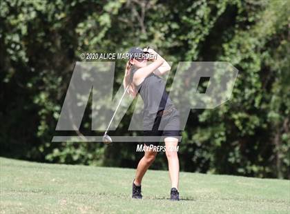 Thumbnail 2 in Hernando @ Springstead photogallery.