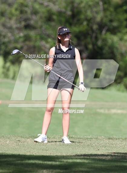 Thumbnail 3 in Hernando @ Springstead photogallery.