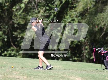 Thumbnail 1 in Hernando @ Springstead photogallery.