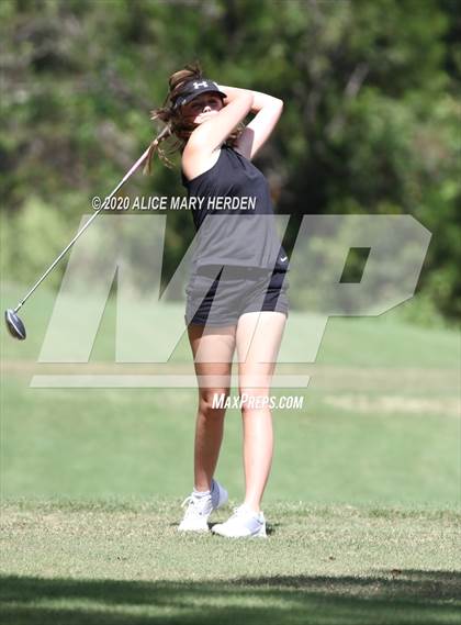 Thumbnail 2 in Hernando @ Springstead photogallery.