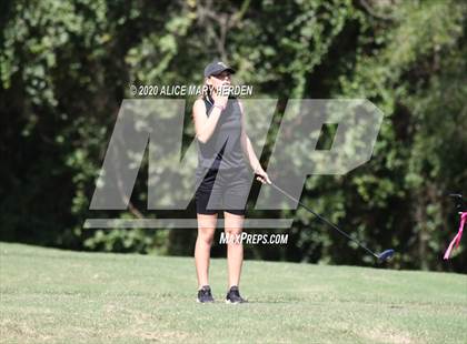 Thumbnail 1 in Hernando @ Springstead photogallery.