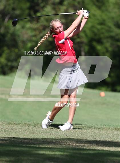 Thumbnail 3 in Hernando @ Springstead photogallery.