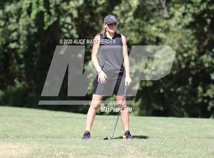 Thumbnail 2 in Hernando @ Springstead photogallery.
