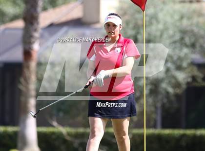 Thumbnail 1 in Hernando @ Springstead photogallery.