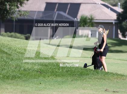Thumbnail 1 in Hernando @ Springstead photogallery.