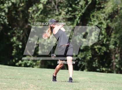 Thumbnail 1 in Hernando @ Springstead photogallery.