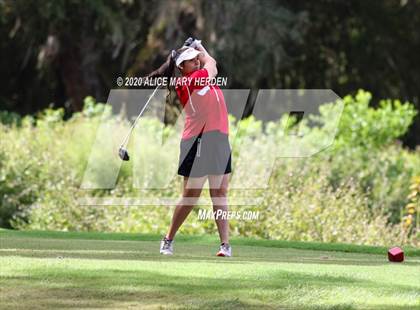 Thumbnail 1 in Hernando @ Springstead photogallery.